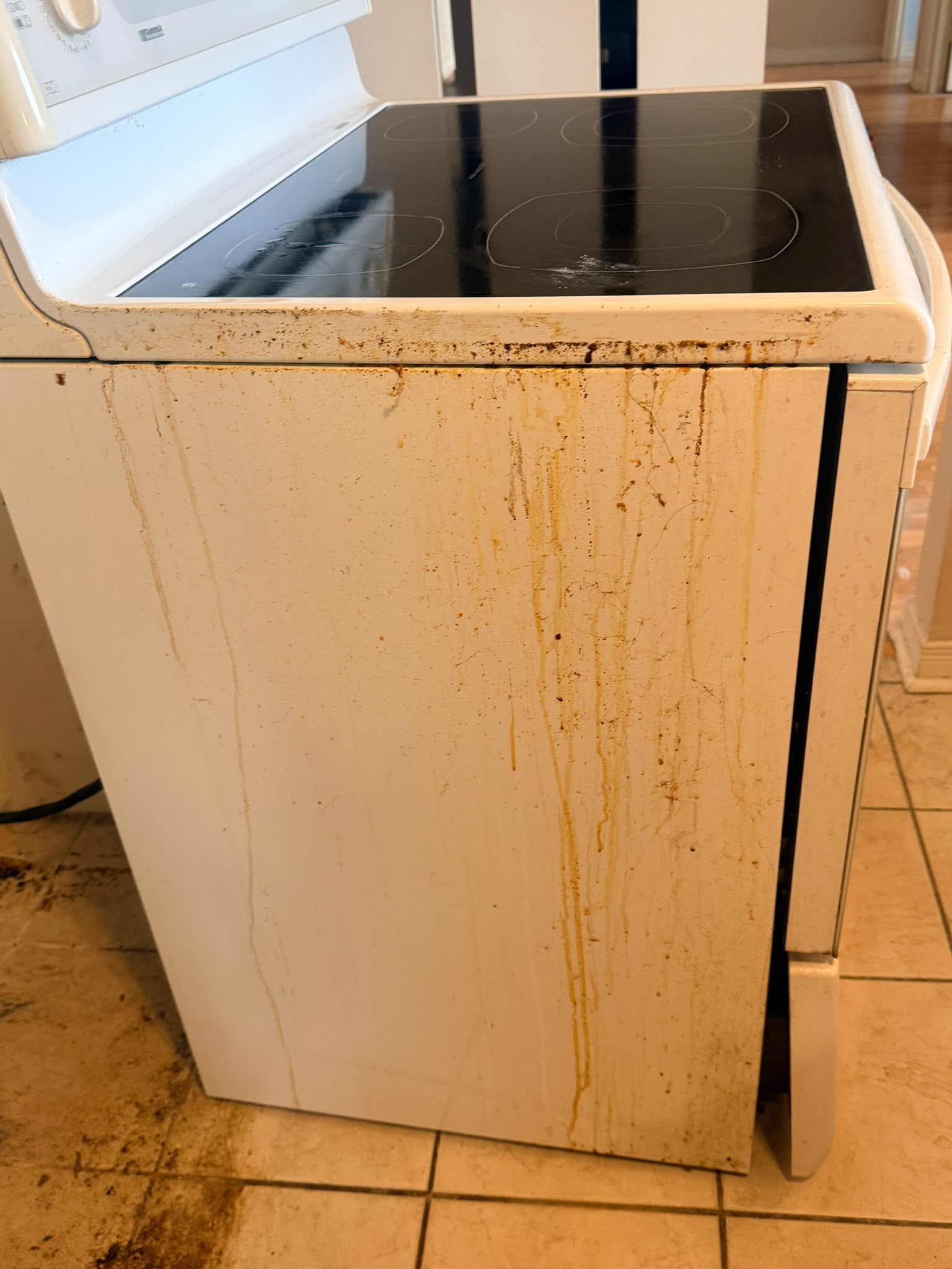 Commercial Cleaning